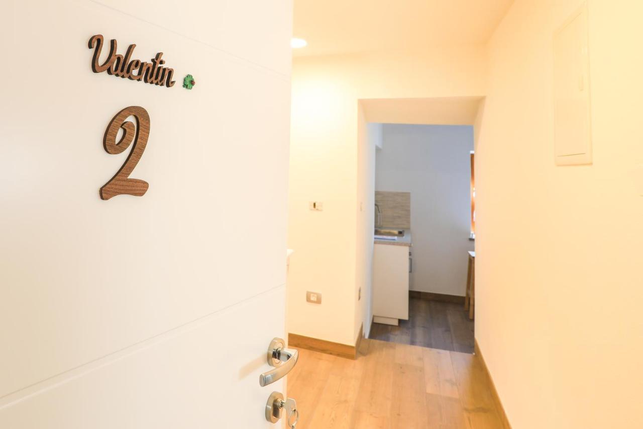 Apartmaji Tina ゴレンスカ地方 エクステリア 写真