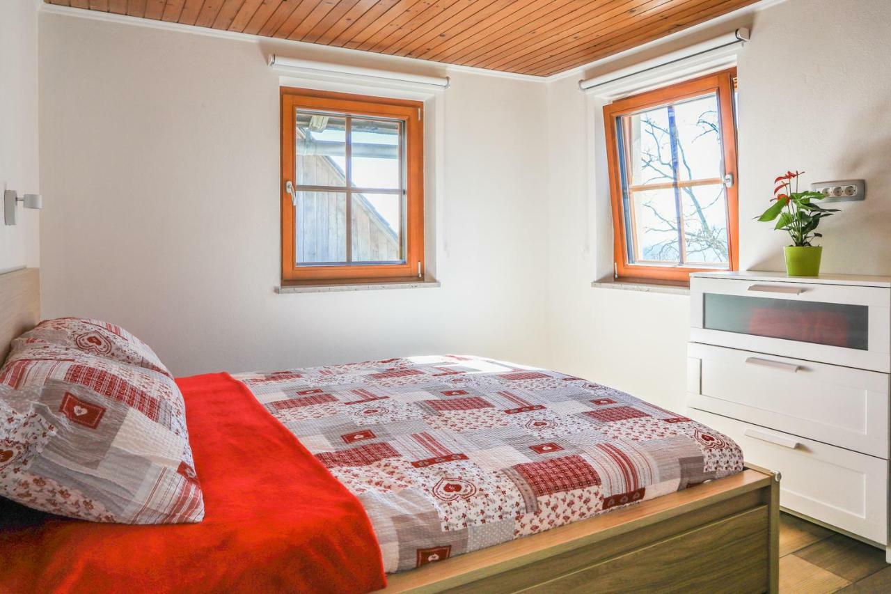 Apartmaji Tina ゴレンスカ地方 エクステリア 写真